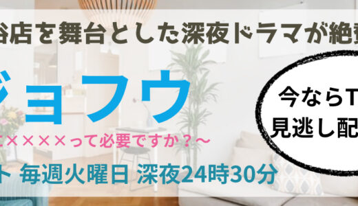 保護中: みっつめ