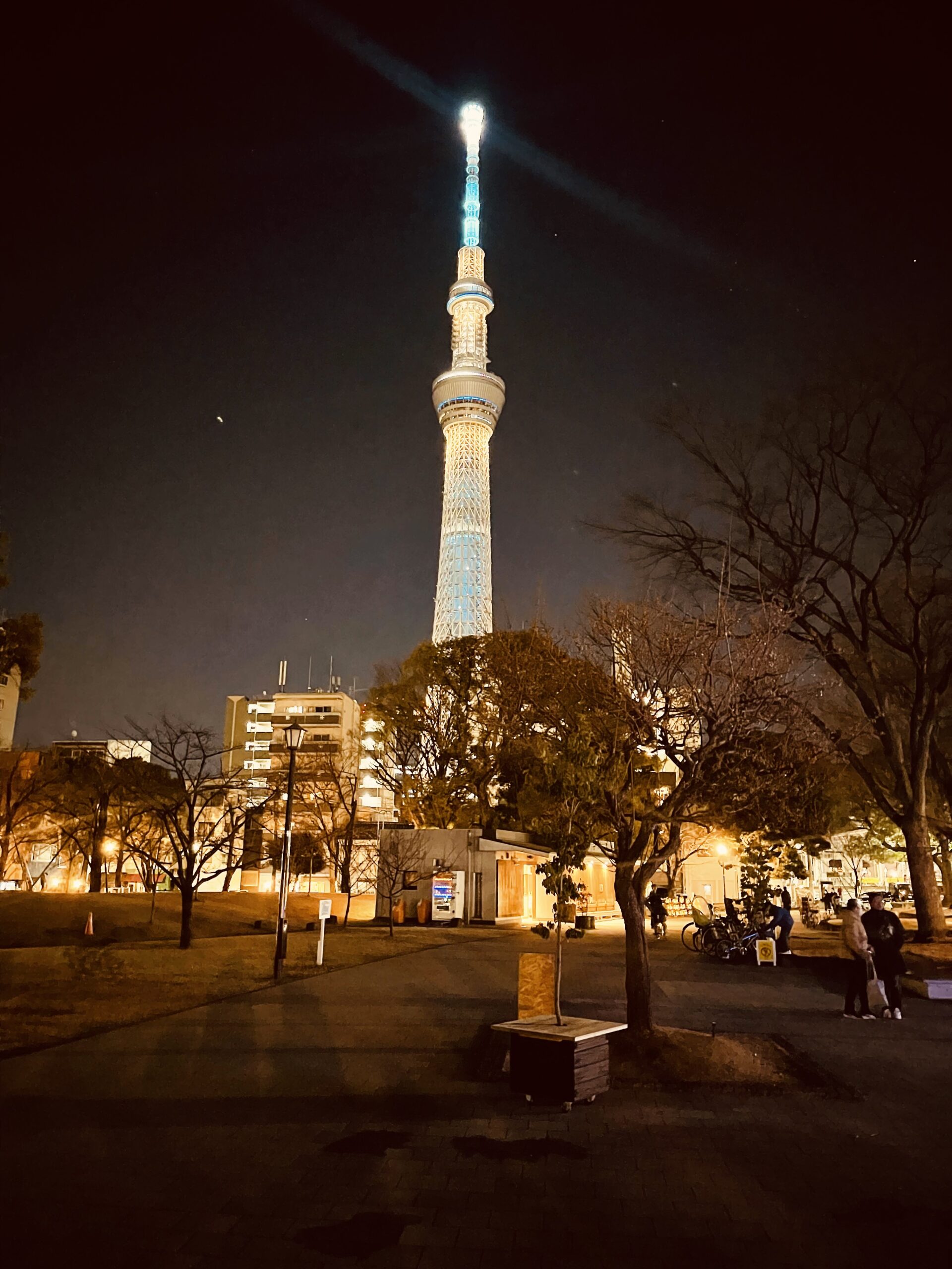 『感情×感情』