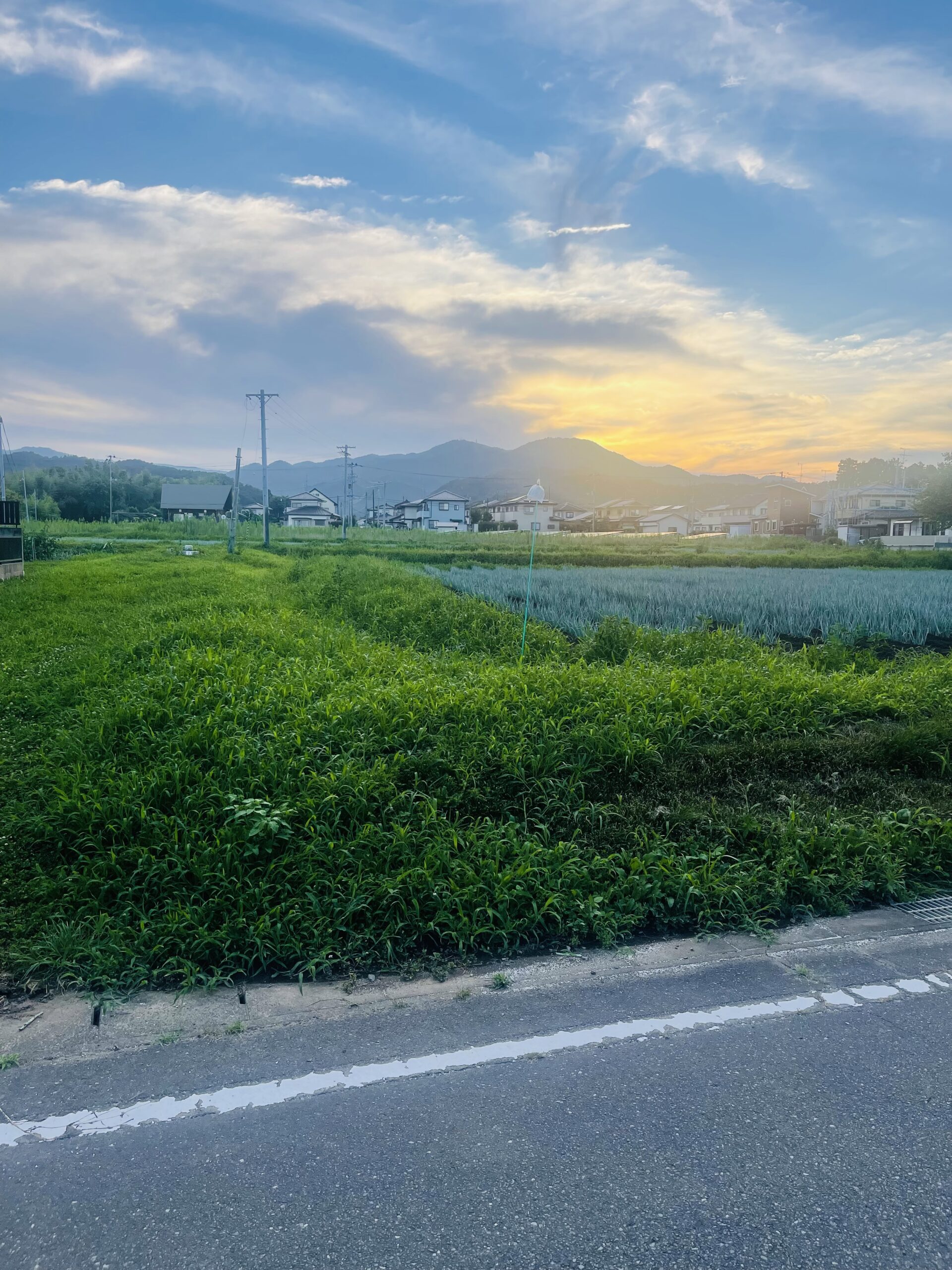 『八十八』