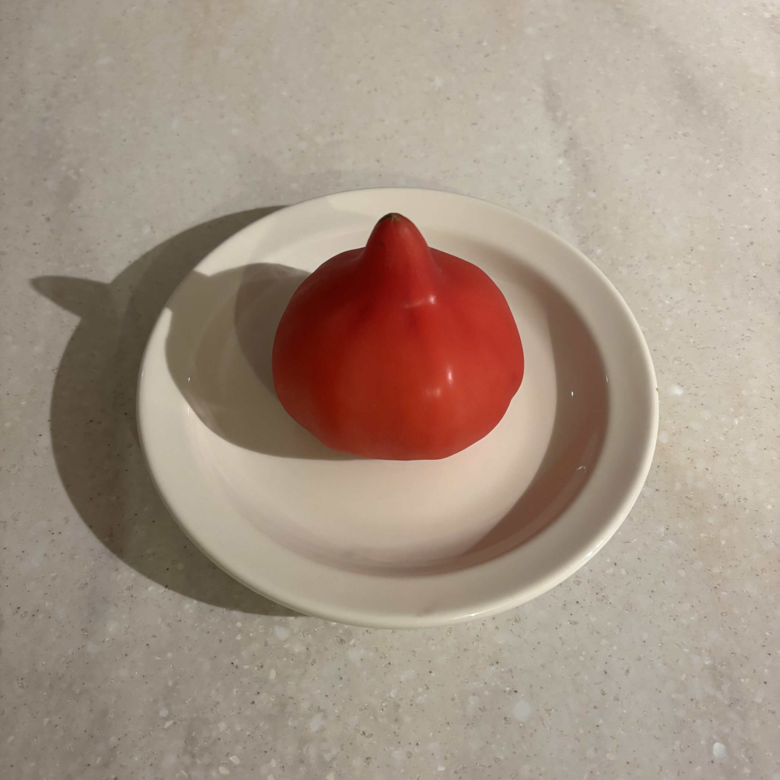 FIRST TOMATO