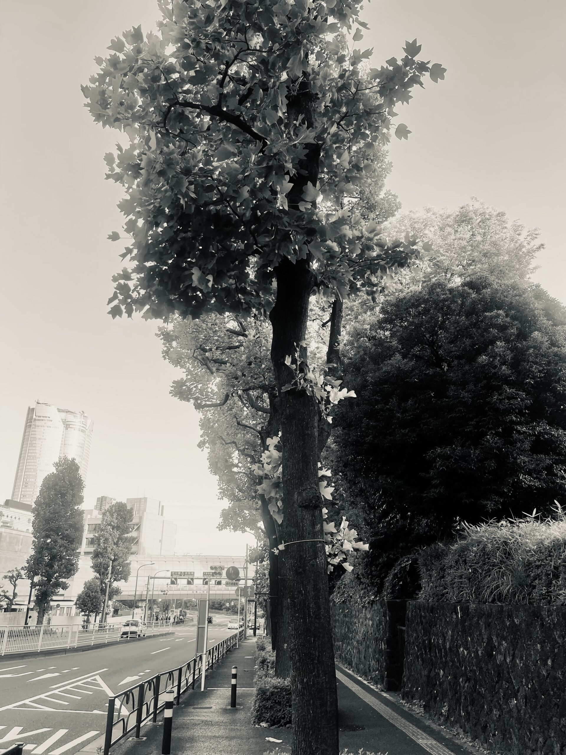 『闇』