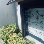 『非合理』