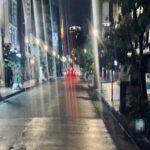 『冬支度』