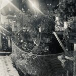 『曲線』