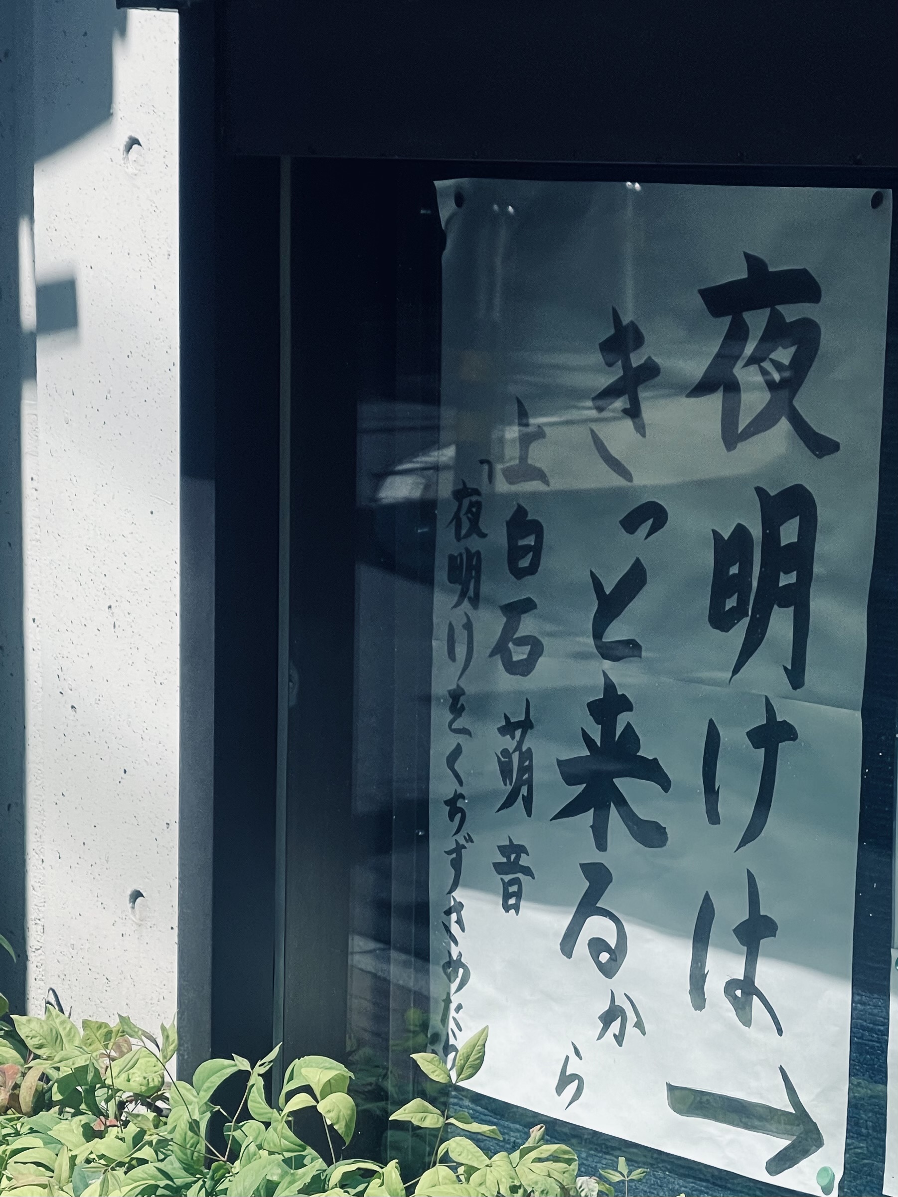 『カンセイ』