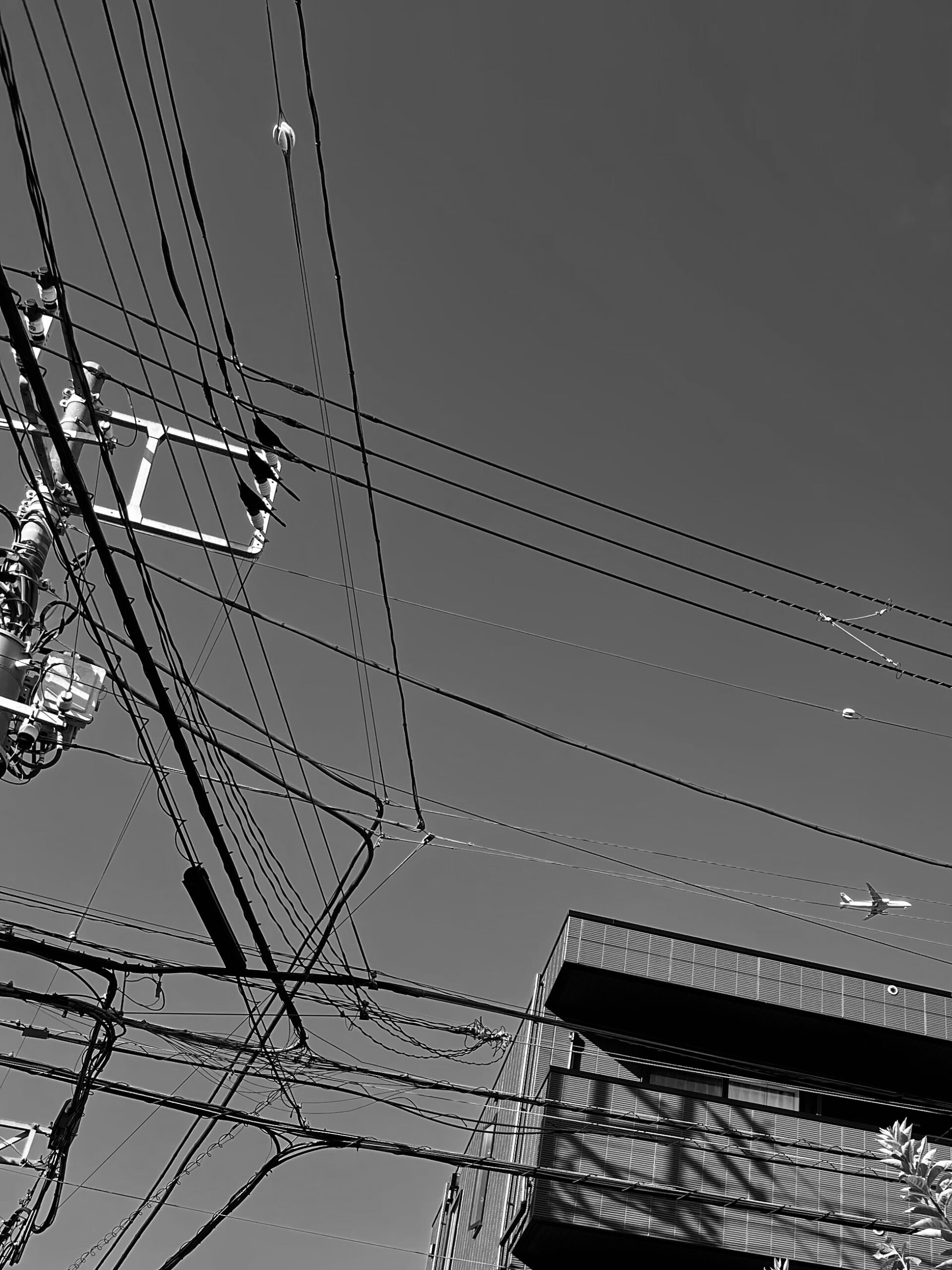 『風向』