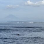 富士山と海…