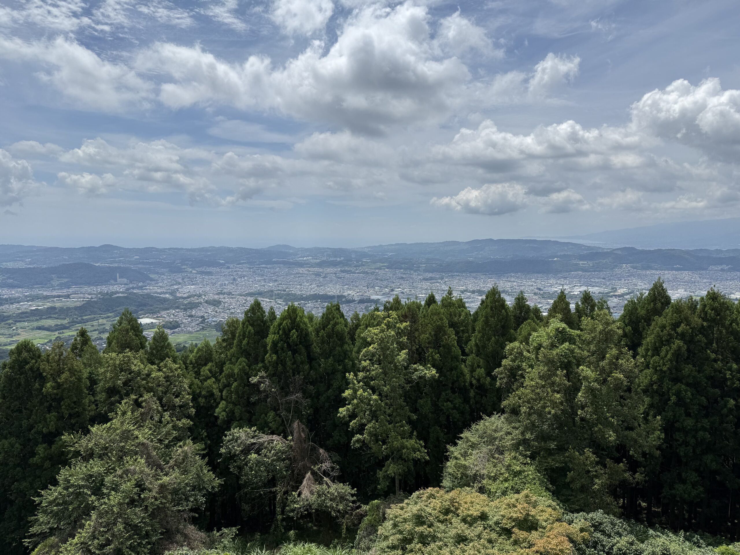 別班は存在するのか