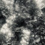 『自空』