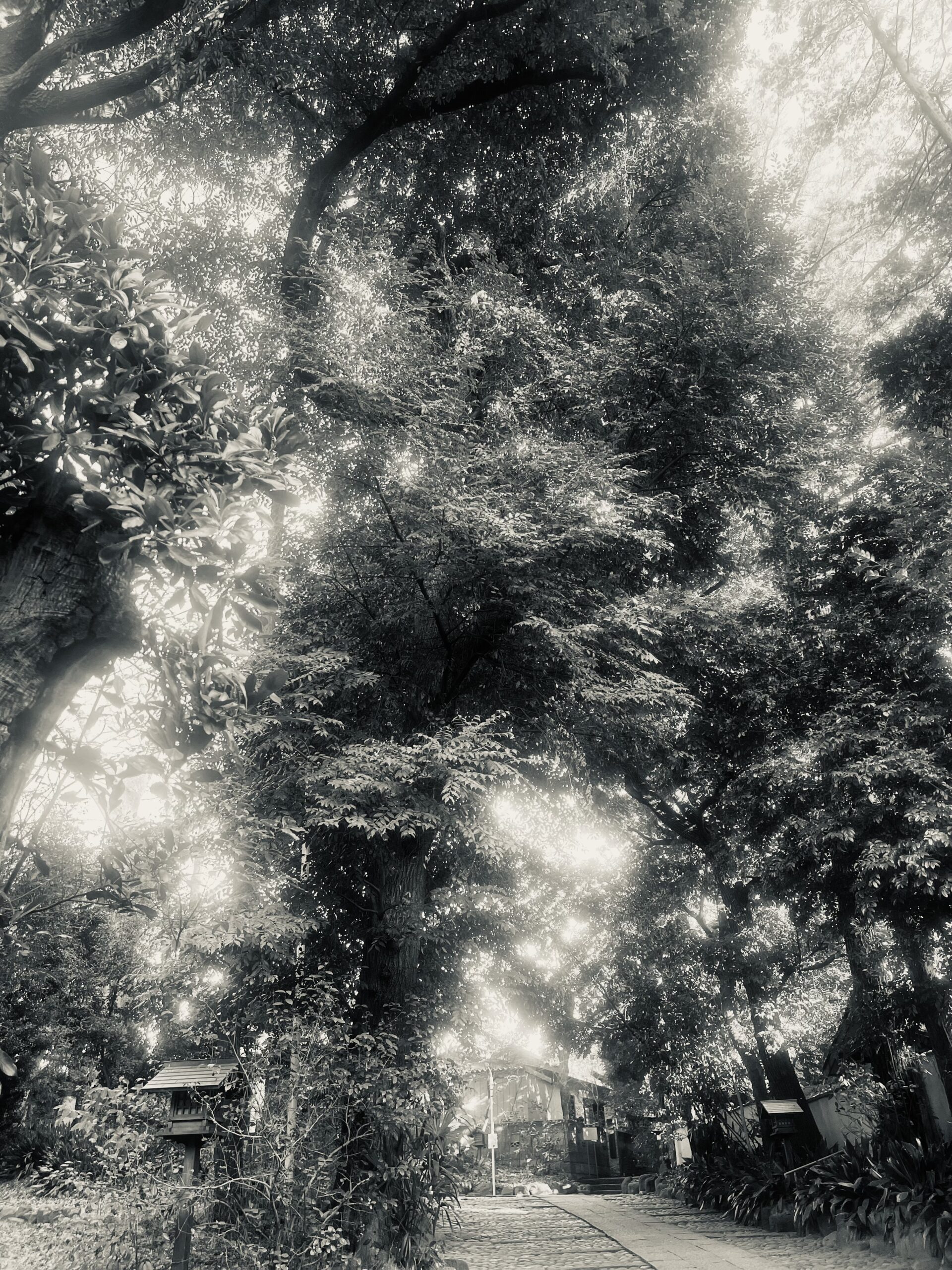 『自空』