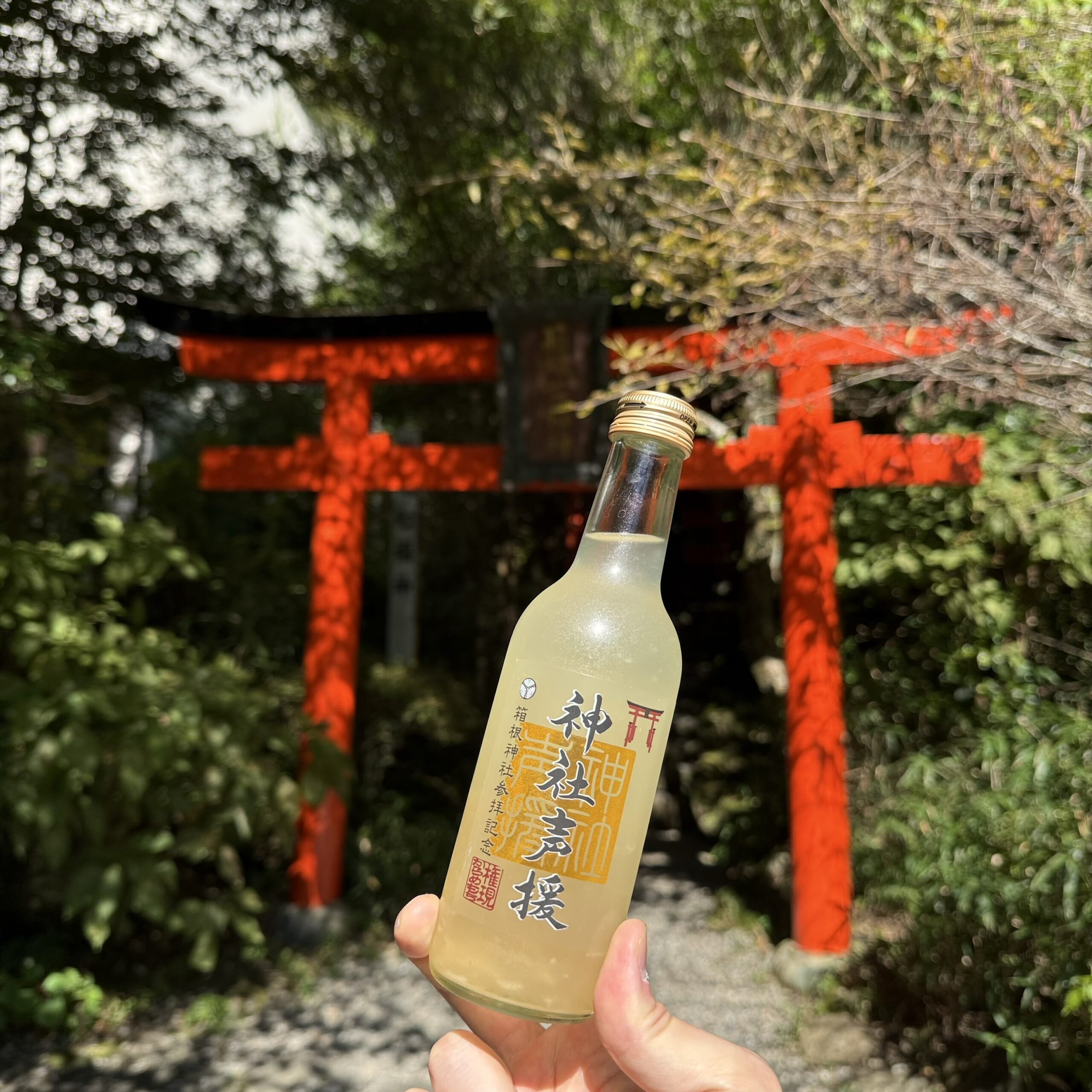 神社声援⛩️